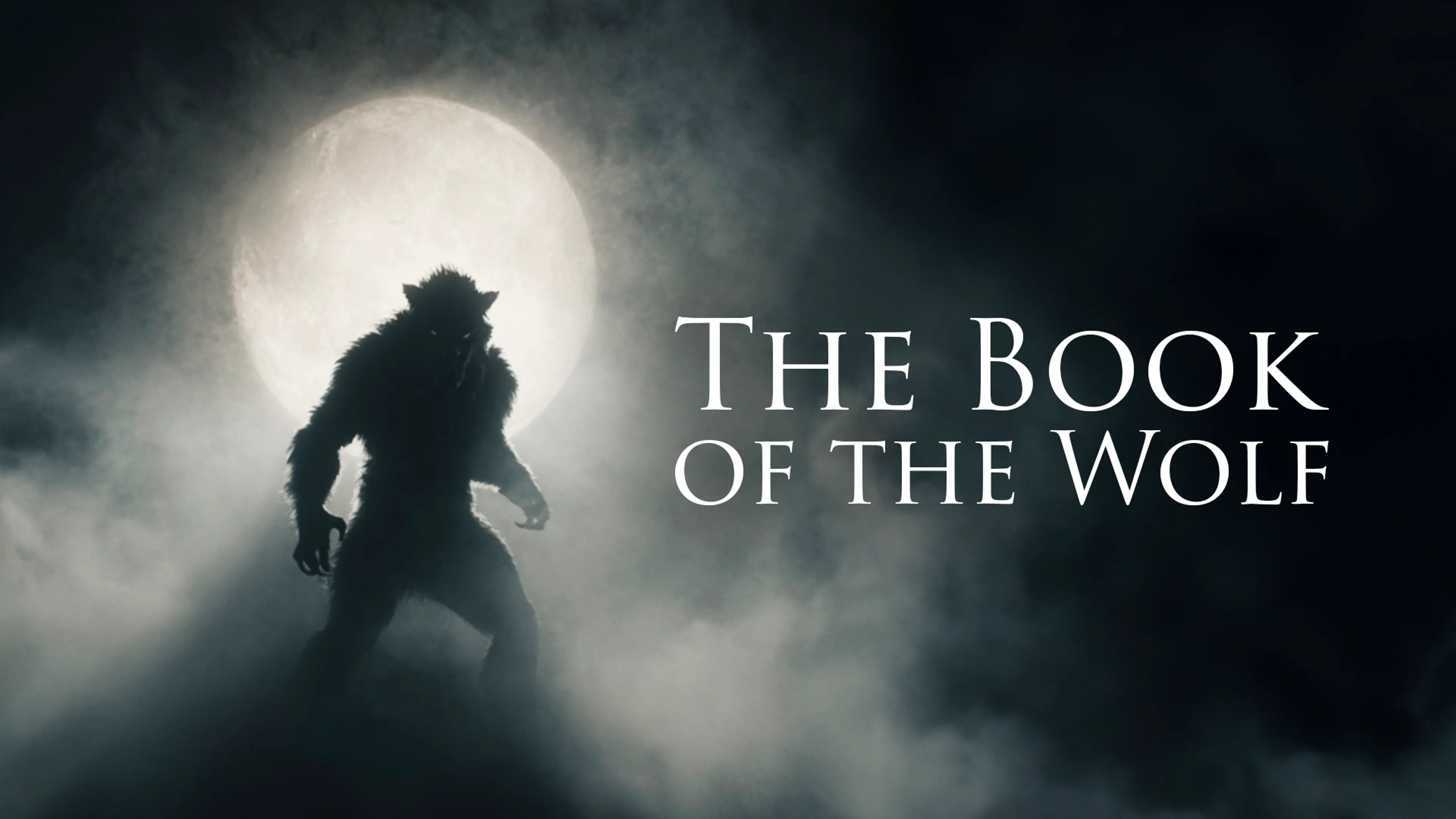 The Book of the Wolf poster